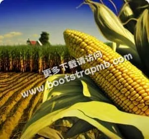 全方位赛事数据支持 - 美加墨世界杯